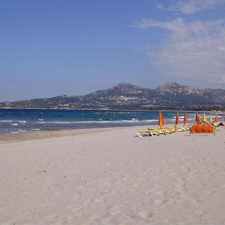 Appartement F1 Calvi A 150 Metres De La Plage Exterior photo