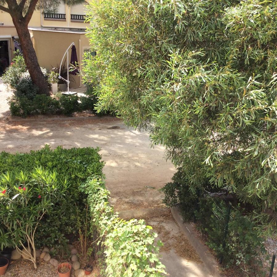 Appartement F1 Calvi A 150 Metres De La Plage Exterior photo